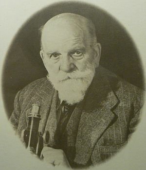 Karl Jordan