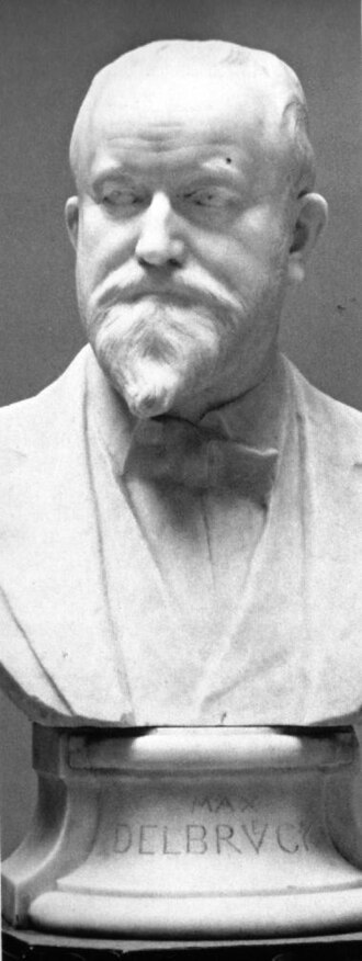 Max Delbrück