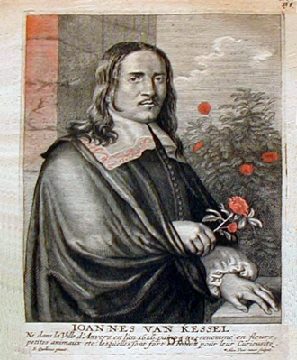 Jan van Kessel
